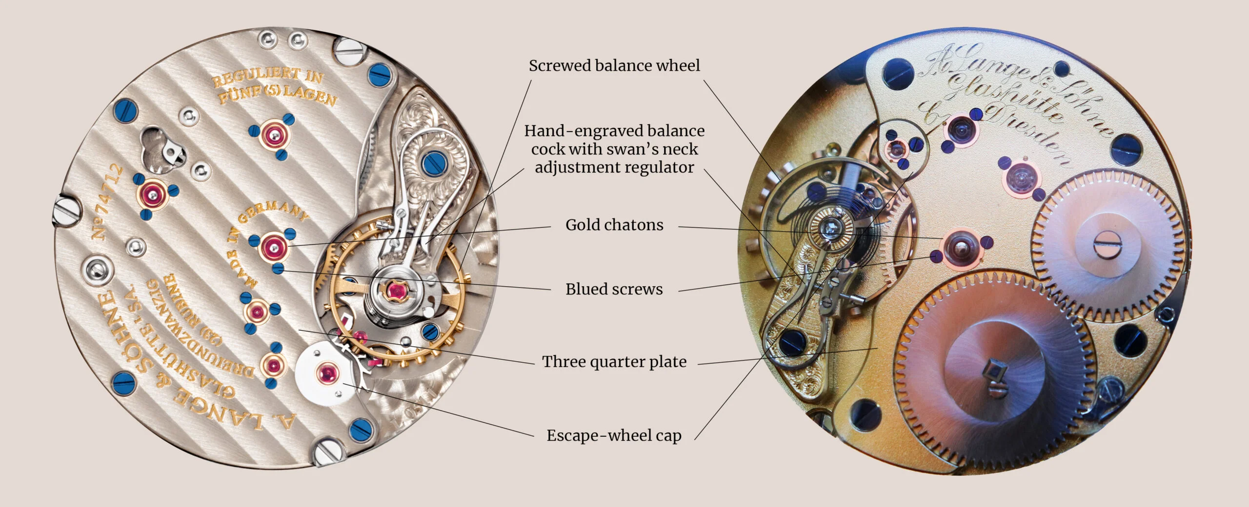 Lange 1815 Movement Diagram